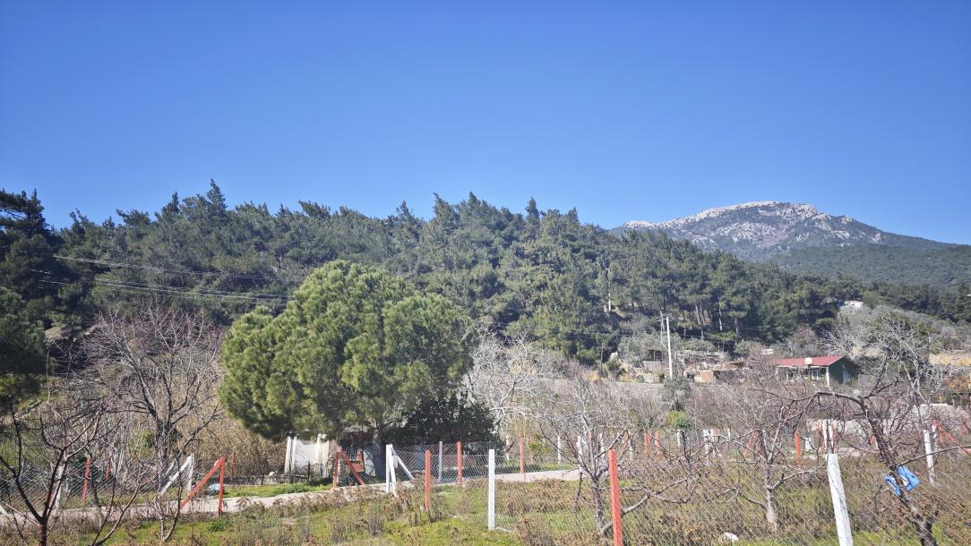 iZMiR KEMALPASA VISNELi KÖYÜ'NDE 300m² KÖY iÇi iMARLI ARSA!-9