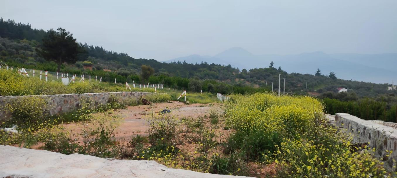 Vişneli de 415 m2 Kadastral Yol Cepheli, Taş Duvarlı, Hazır Altyapılı Bahçe– Kelepir-3