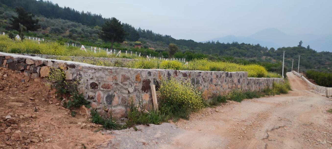 Vişneli de 415 m2 Kadastral Yol Cepheli, Taş Duvarlı, Hazır Altyapılı Bahçe– Kelepir-2