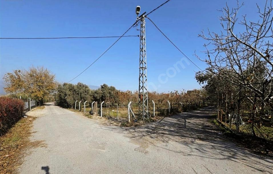Kemalpaşa İmara Yakın 7.500 m² Yatırımlık Bahçe Tek Tapulu-5