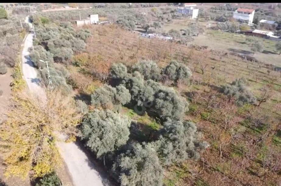 Kemalpaşa İmara Yakın 7.500 m² Yatırımlık Bahçe Tek Tapulu-2