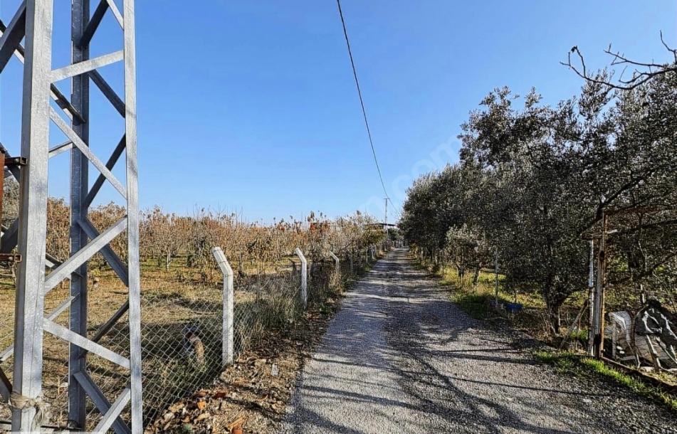 Kemalpaşa İmara Yakın 7.500 m² Yatırımlık Bahçe Tek Tapulu-7